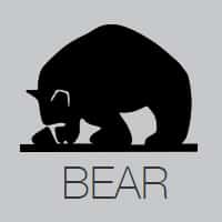 Bear by Varimixer Producing Robust Mixers for 100 Years