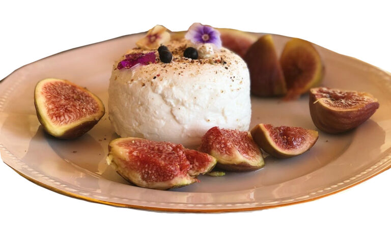 Vegan Cheese Producer