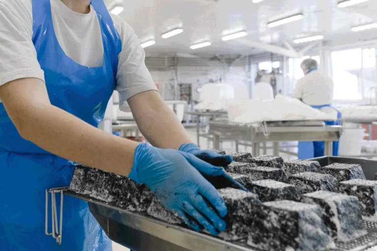 Food Manufacturing at a food production facility